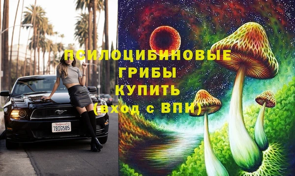 прущая мука Карпинск