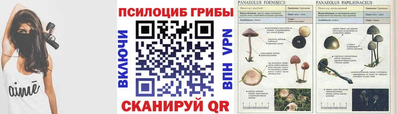 Псилоцибиновые грибы Cubensis  Купить  Гороховец 