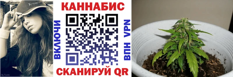 Купить где  Гороховец  Марихуана White Widow 